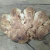 Fougasse Figues/Noix